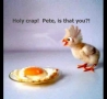 Easter Funny Pictures - Freaked Out Easter Chick !