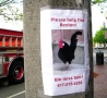Cool Pictures - Funny Lost and Found Signs