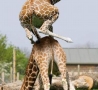 Funny Animals - Giraffe Giddiyap!