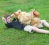 Funny Links - Hanging with Chickens