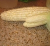 Funny Pictures - Horny Corn