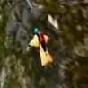 Cool Links - Extreme Base Jumping in Wingsuits 