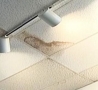 Cool Pictures - Jesus Spotted on the Ceiling