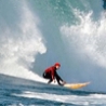 Cool Pictures - Surfs Up