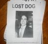Funny Pictures - Last Seen Humping