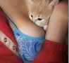  - Lucky Animals Near Babes