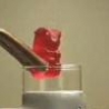Funny Links - Gummy Bear In Potassium Chlorate
