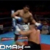 Cool Links - First Punch KO