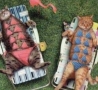 Funny Animals - Modest Sunbathers