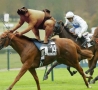 Funny Pictures - Mr. Sumo On The Horse