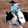 Funny Pictures - Rodeo Monkey