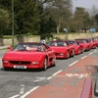 Cool Pictures - Ferrari on Parade