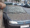 Funny Links - Poopy Car