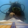Weird Funny Pictures - Underwater Ironing
