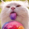 Funny Animals - Rainbow Slurpee Cat