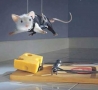 Funny Animals - Rat Bond