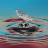 Cool Pictures - Water Drops Photo Gallery