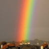 Cool Pictures - Rainbows