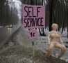 Funny Pictures - Roadside Self Service