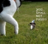Cool Pictures - Shall Not Pass