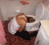 Funny Pictures - She's Had One Too Many....