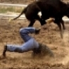 Cool Pictures - Bull Riding