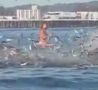 Cool Links - Surfer Almost Eaten by Whale 