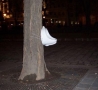 Cool Pictures - Tree Urinal