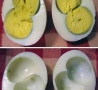 Cool Pictures - Twins in an Egg