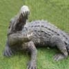 WTF Links - Crocodile Bites Zoo Keeper