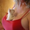 Funny Links - Kittens Love Cleavage