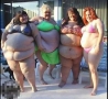  - Wall Of Fat Chicks
