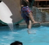 Funny Pictures - Water Slide Fail