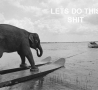 Funny Links - Waterskiing Elephant
