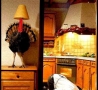 Funny Pictures - Where's That Thanksgiving Turkey?