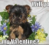 Valentines Pictures - Will You Be My Valentine?