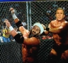 Funny Pictures - WWE: Bin Laden vs, Bush
