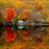 Cool Pictures - Tree Reflection