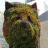 Funny Animals - Giant Flower Puppy