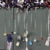 Funny Pictures - Red Sox Autographs