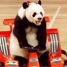 Funny Links - Speedy Panda