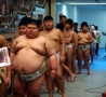 Funny Pictures - Young Sumo Wrestlers