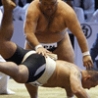 Cool Pictures - Sumo Pictures