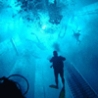 Cool Pictures - Deepest Pool