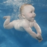 Cool Pictures - Baby Divers