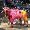 Funny Animals - Painted Animals