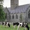 Cool Pictures - Ireland